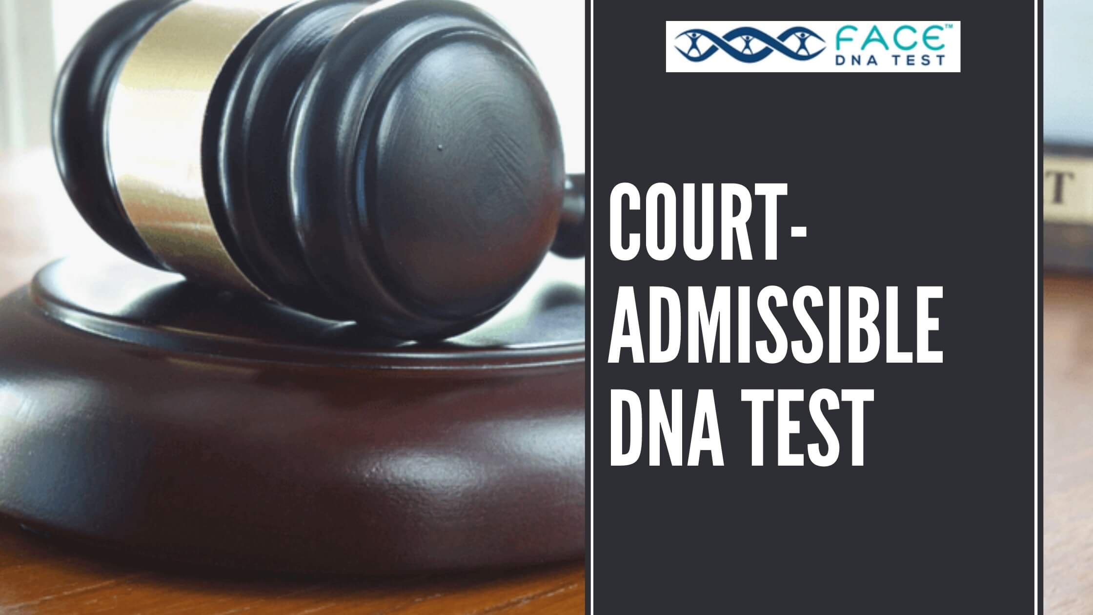 Court Admissible DNA Test Face DNA Test