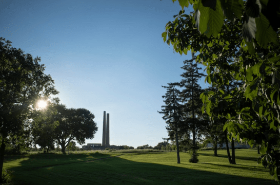 DNA Paternity Testing in Cedar Park, TX 