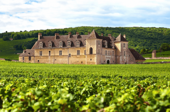 DNA Paternity Testing in Grapevine, TX