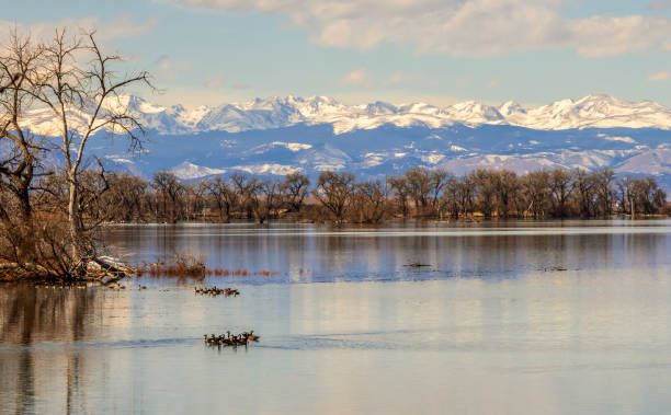 Paternity Testing in Brighton, CO