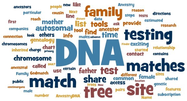 Face Match DNA
