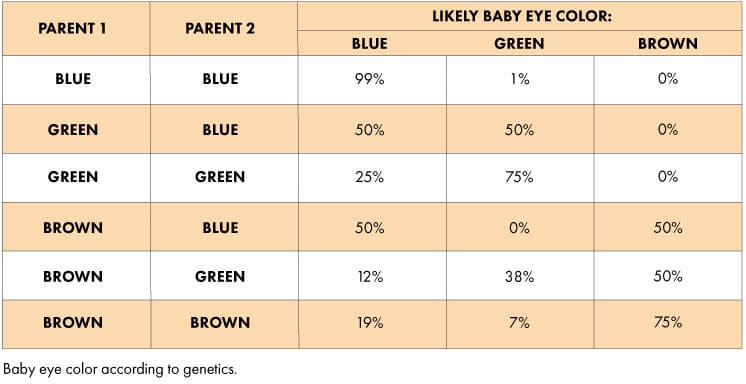 eye-color-genes