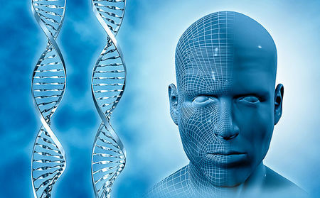 DNA Face Recognition and Legal Paternity Test Service