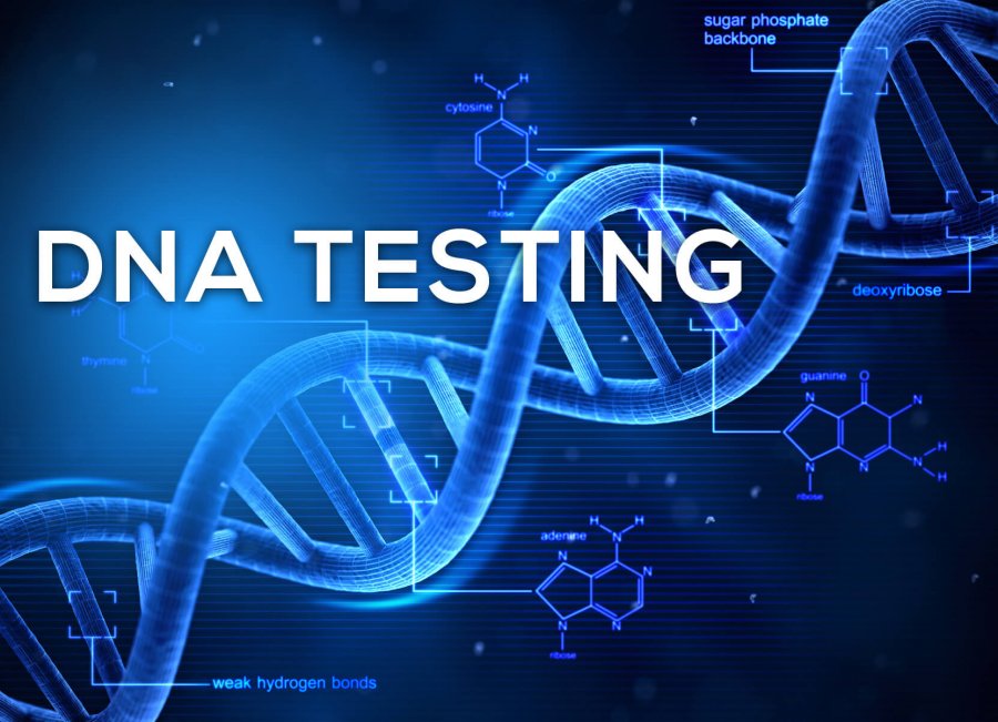 genuine DNA tests