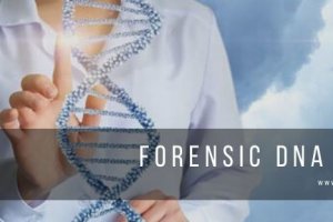 Forensic DNA Fort Worth