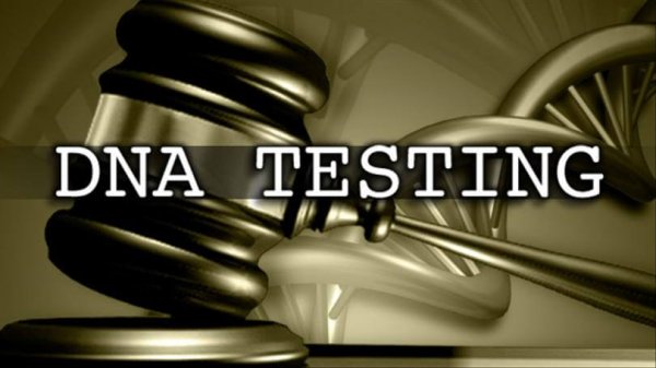 Court Admissible DNA Testing DNA Testing Near Me Face DNA Test
