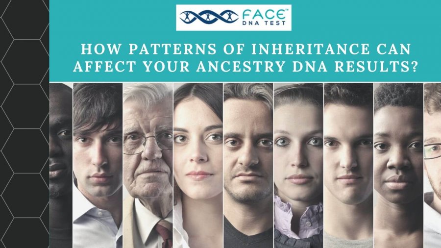 free ancestry facial recognition