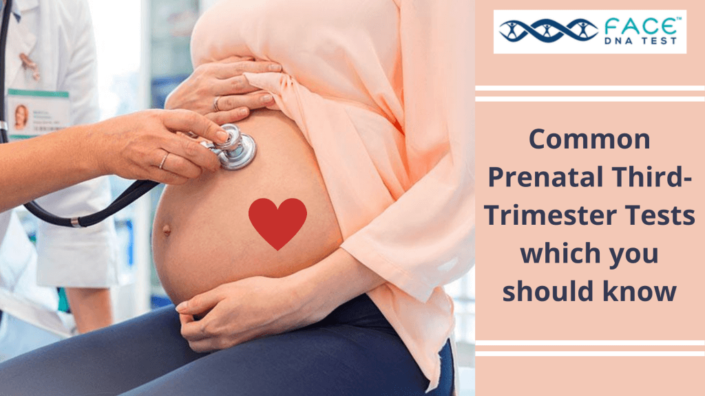 Common Prenatal thirdtrimester tests which you should know