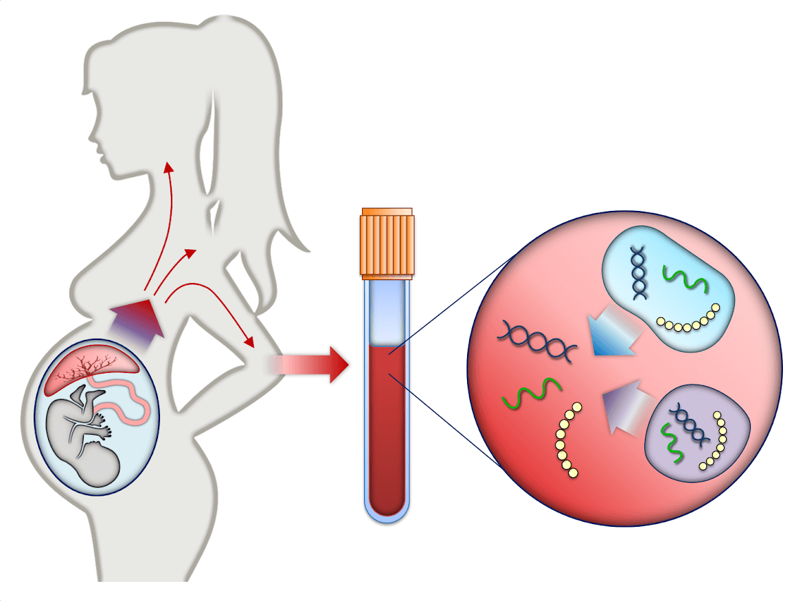 Prenatal Testing Pictures