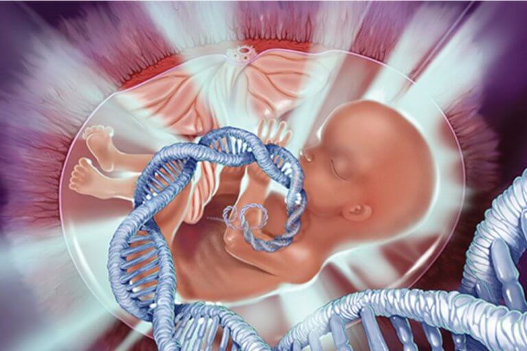 how is prenatal dna testing done