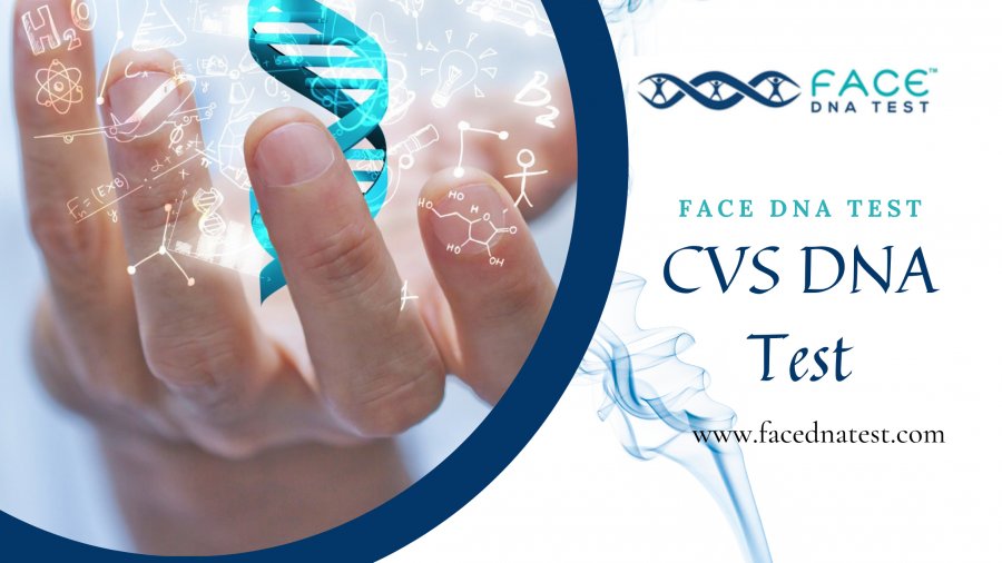 Detailed procedure of the CVS DNA test