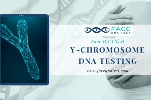 Y-Chromosome DNA testing