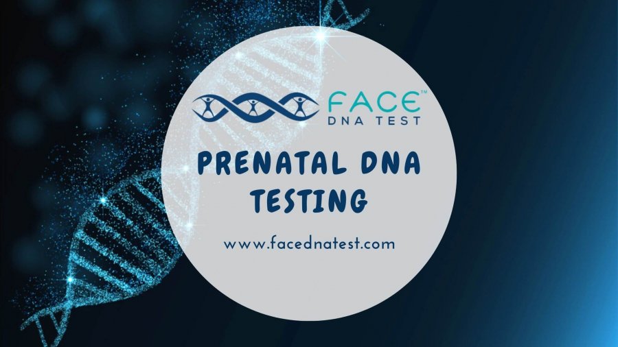 Prenatal DNA Testing