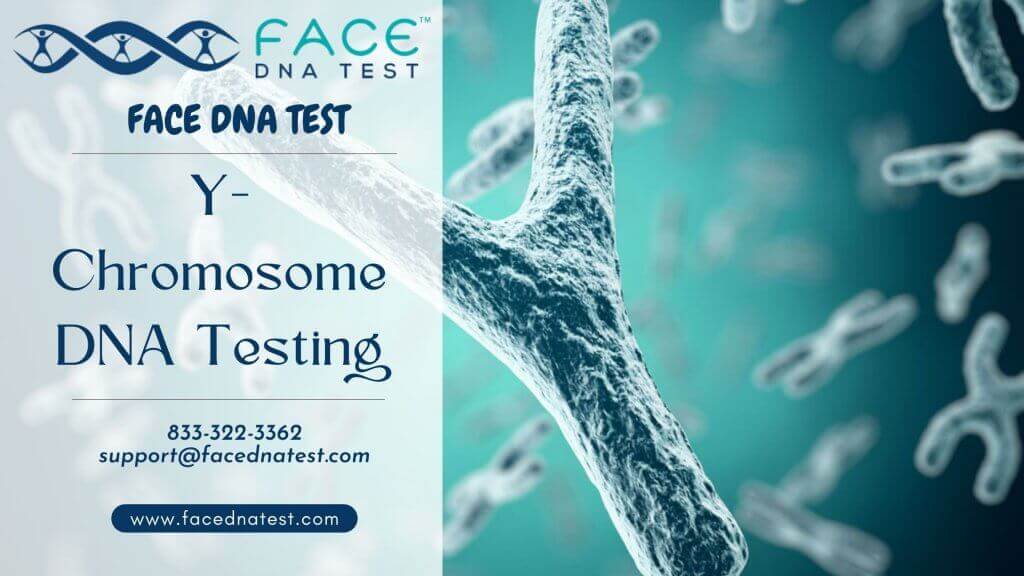 Y-Chromosome DNA Testing
