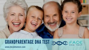 Grandparent DNA testing
