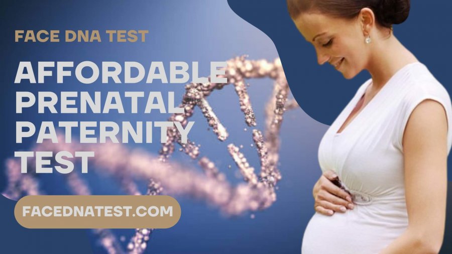 Paternity test and what are your options?