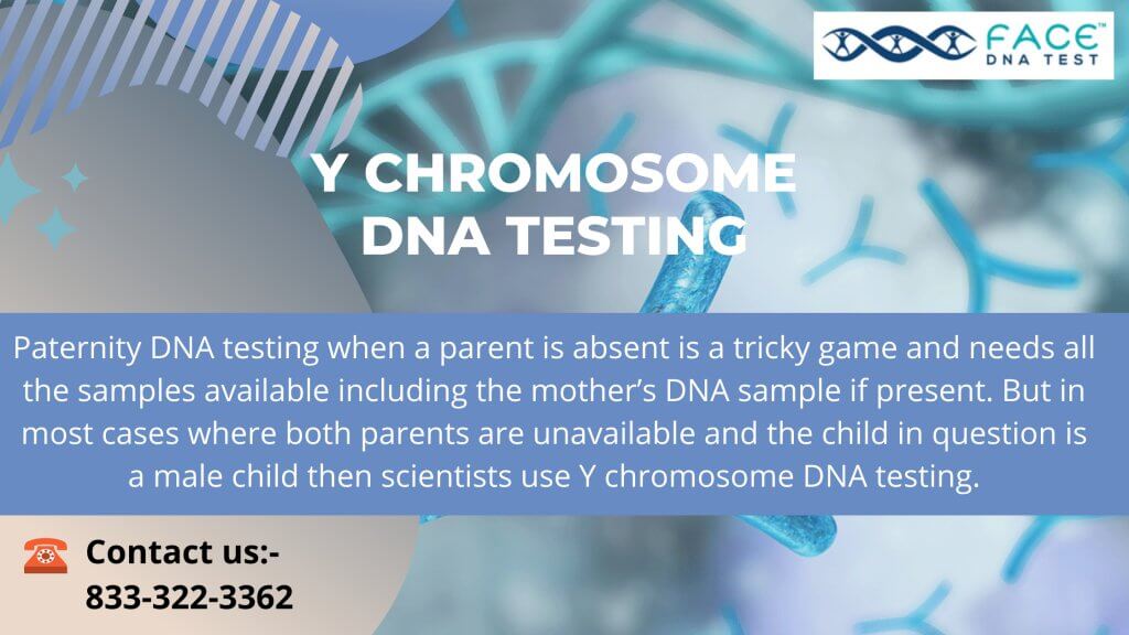 Y chromosome DNA Testing