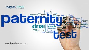 Paternity DNA Test Cost