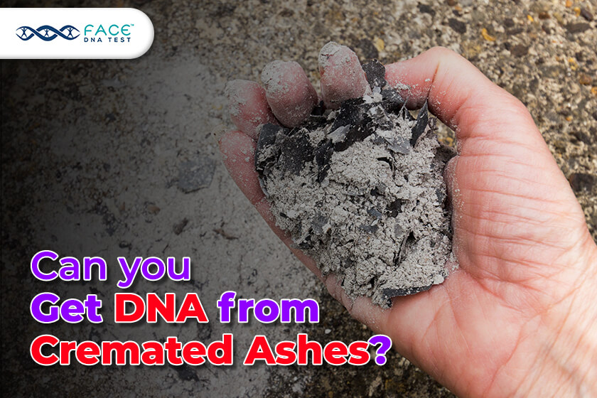 Cremated Ashes
