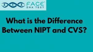 NIPT test