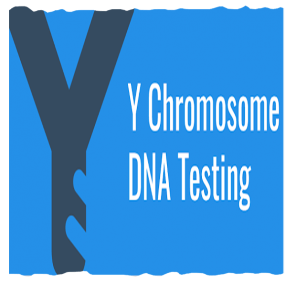 Y Chromosomal DNA Testing