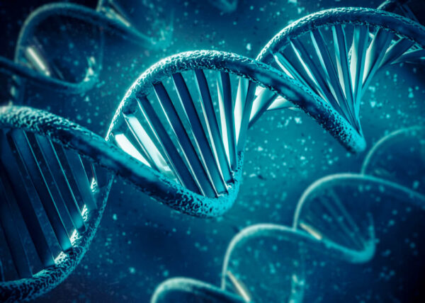 How long does Ancestry DNA Take - Face DNA Test