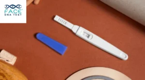 DNA paternity test kit