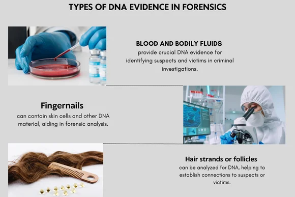 Types of samples for forensic DNA analysis