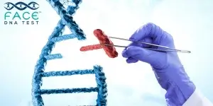 Research Your Family History