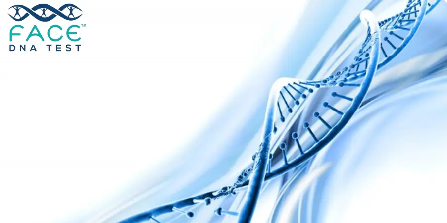 do dna share with bananas