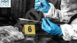 Face DNA provide professional DNA testing services with legally defensible accuracy and complete privacy protection