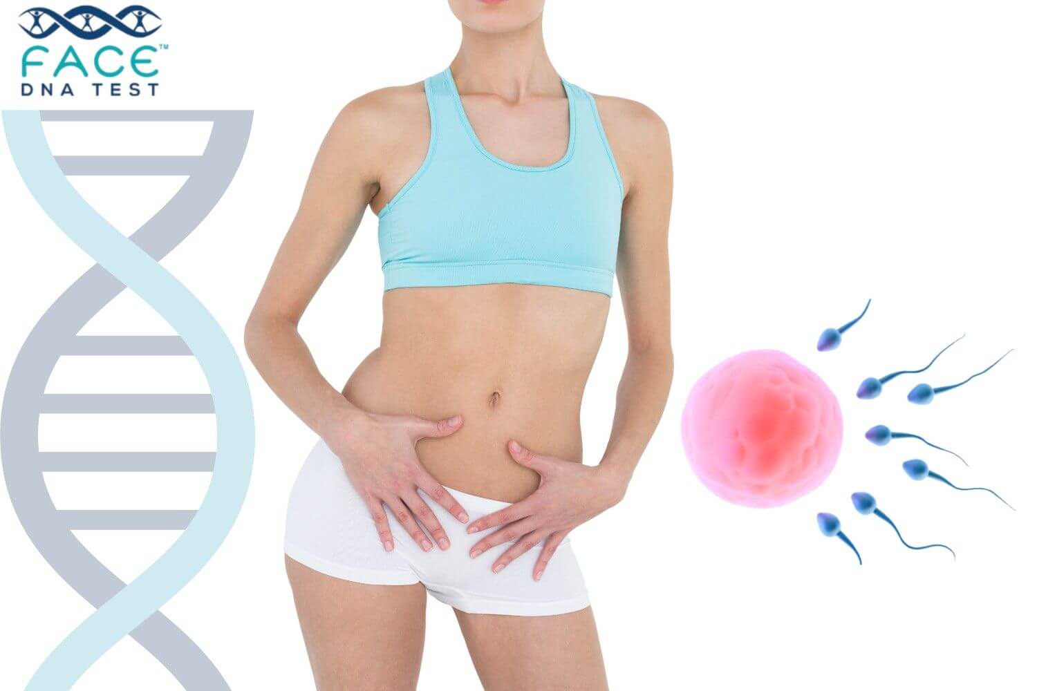 Professional DNA lab analysis explaining how long semen stays in a woman’s body and how paternity testing determines biological parentage