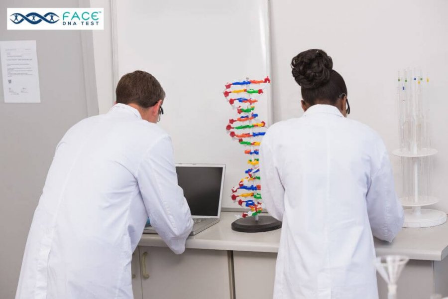 Difference Between Home Vs. Legal DNA Tests